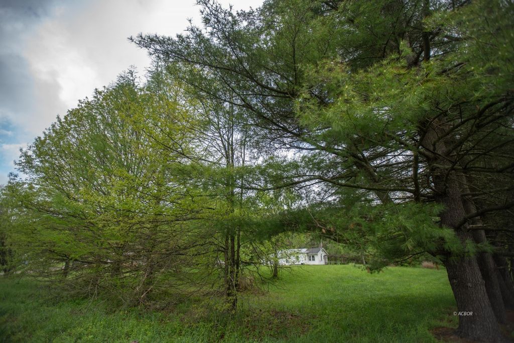 Photo of 31966 McCumber Rd, Dexter, OH 45741 (MLS # 2433949)