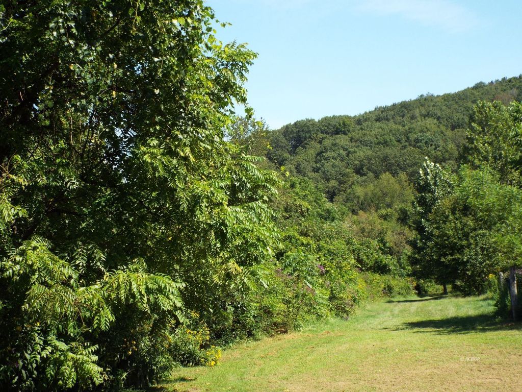 Photo of 17687 Laurel Run Rd, Nelsonville, OH 45764 (MLS # 2433919)
