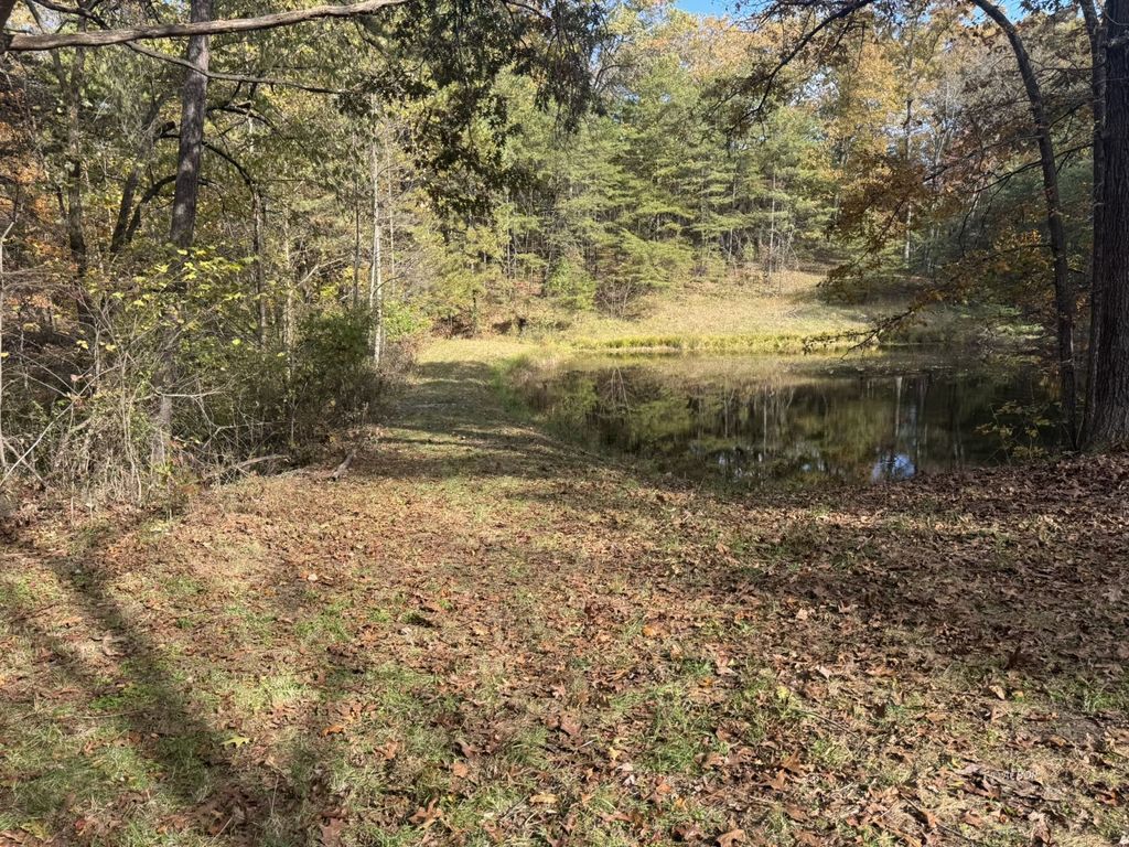 Photo of 32045 Cabin Hill Rd, Vinton, OH 45686 (MLS # 2434628)
