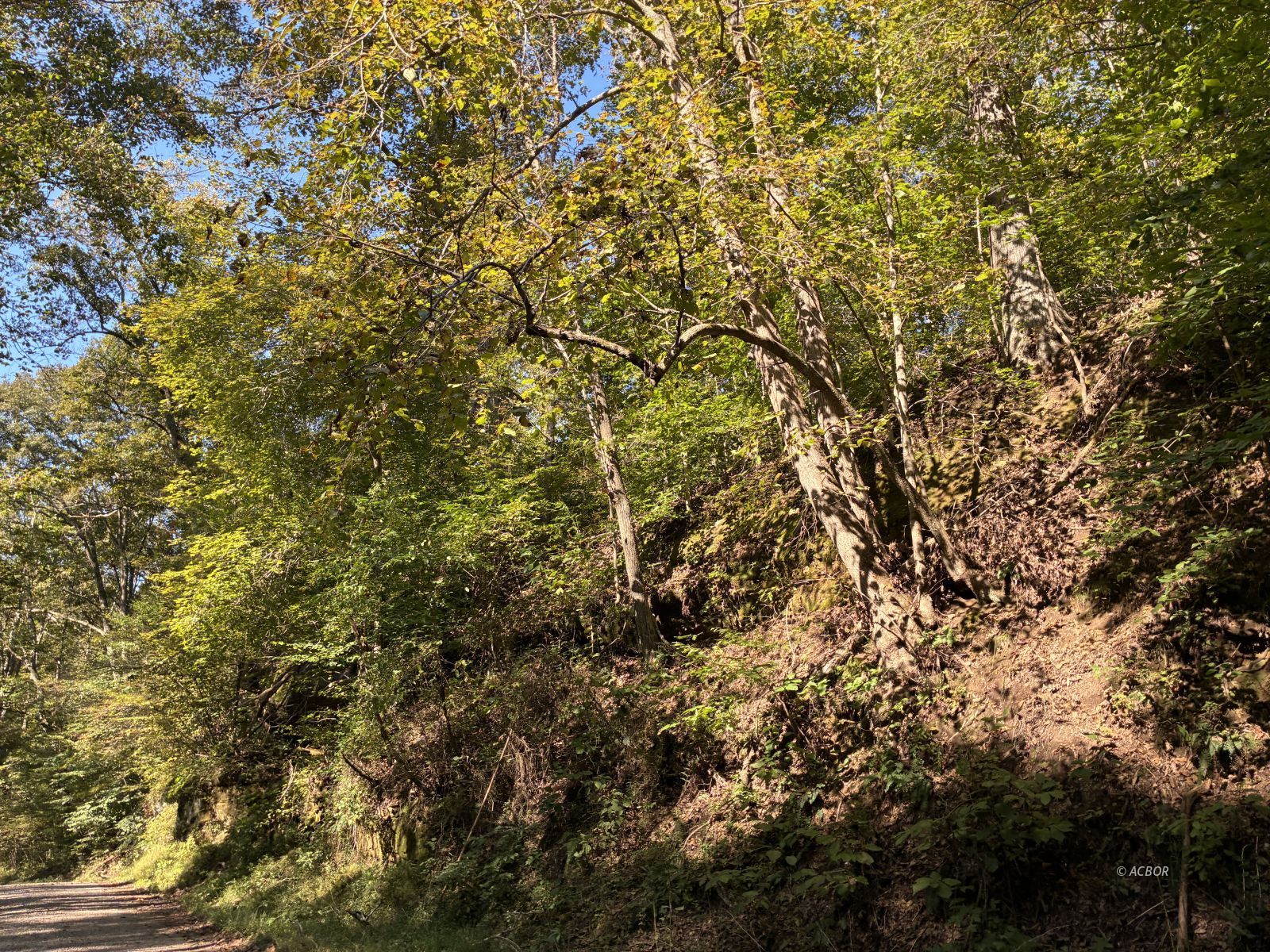 Long Hollow Rd