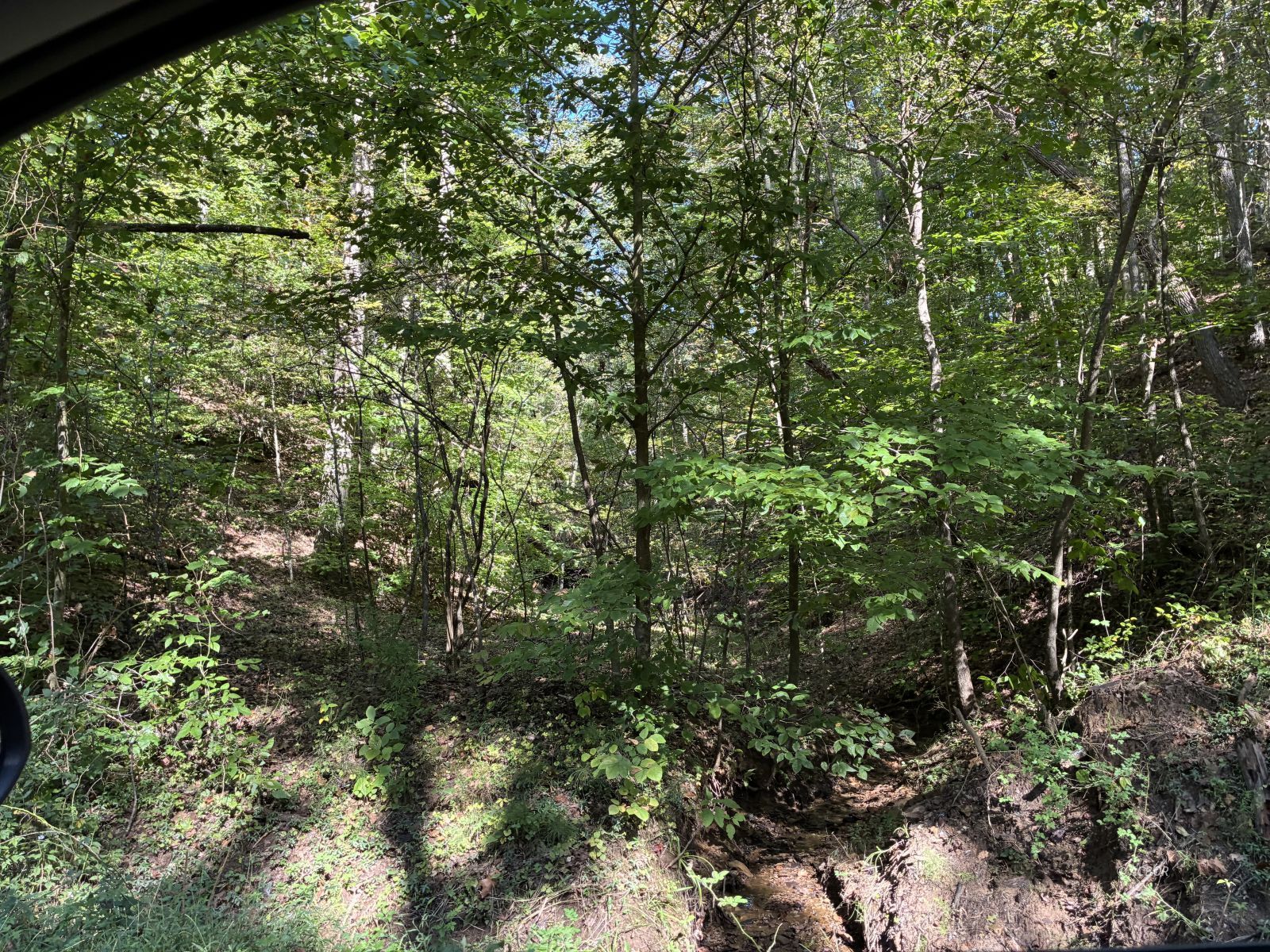Long Hollow Rd