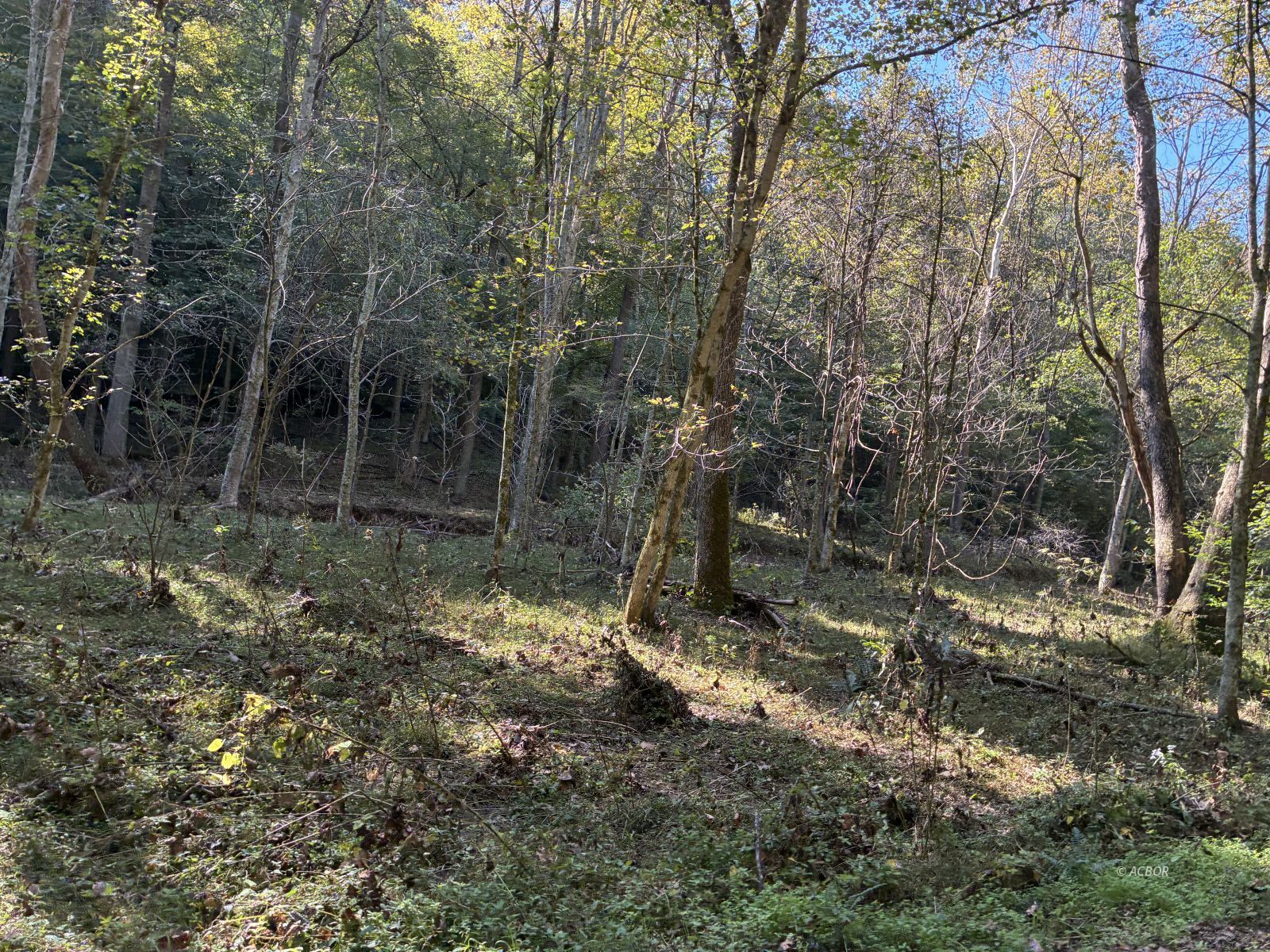 Long Hollow Rd