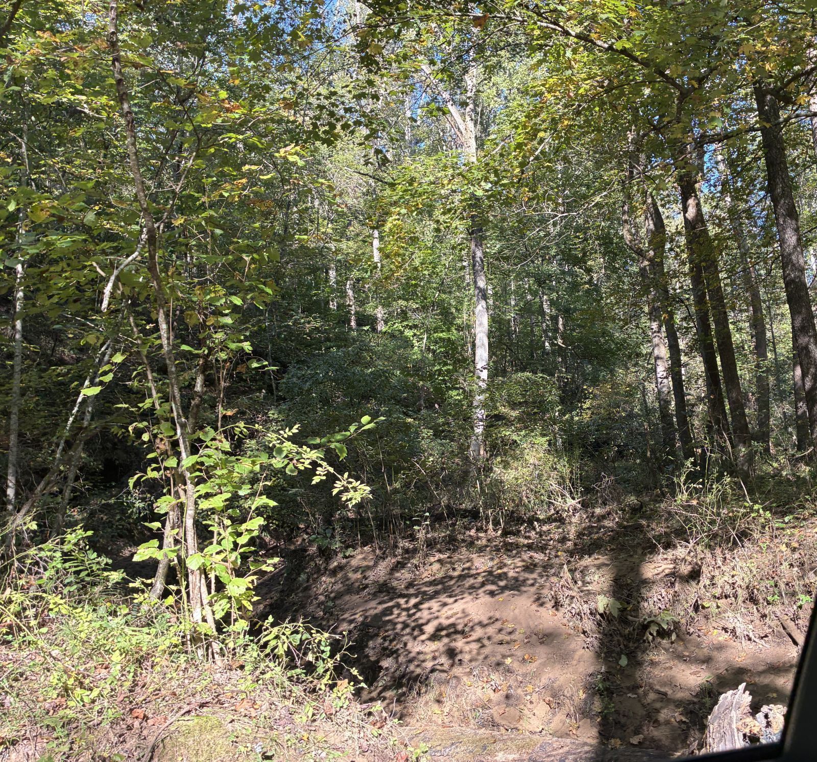 Long Hollow Rd