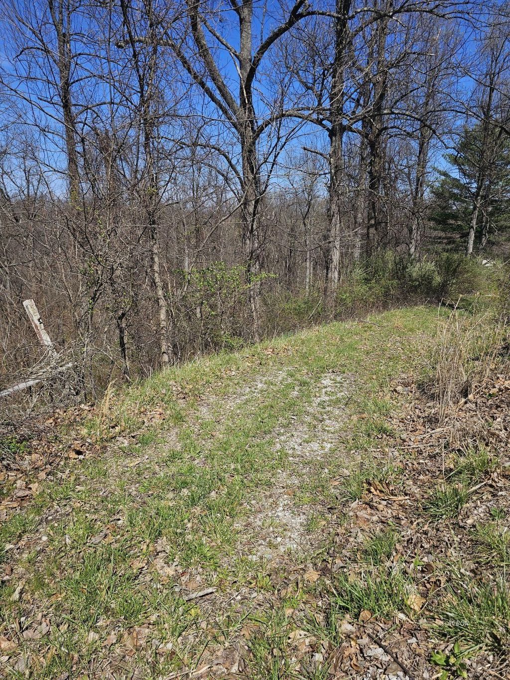 Photo of 1565 Co Rd 124, Chesapeake, OH 45619 (MLS # 2434749)
