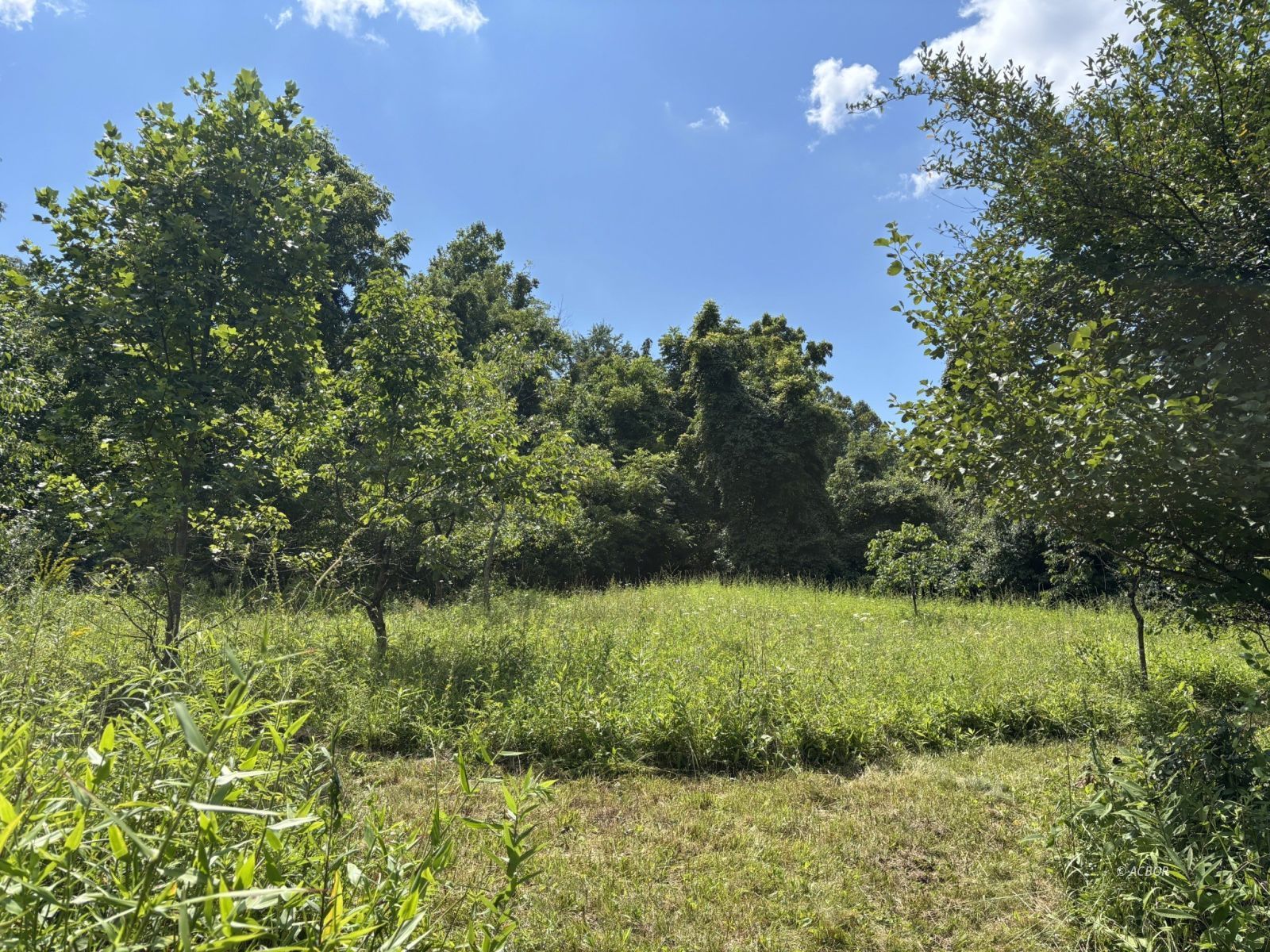 Mill Creek Rd