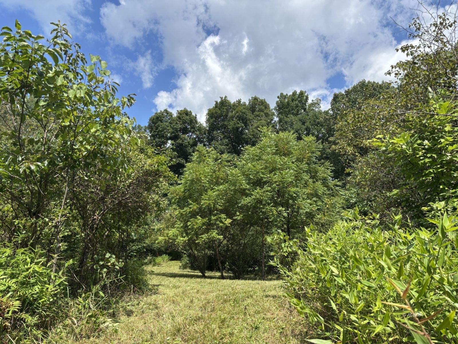 Mill Creek Rd