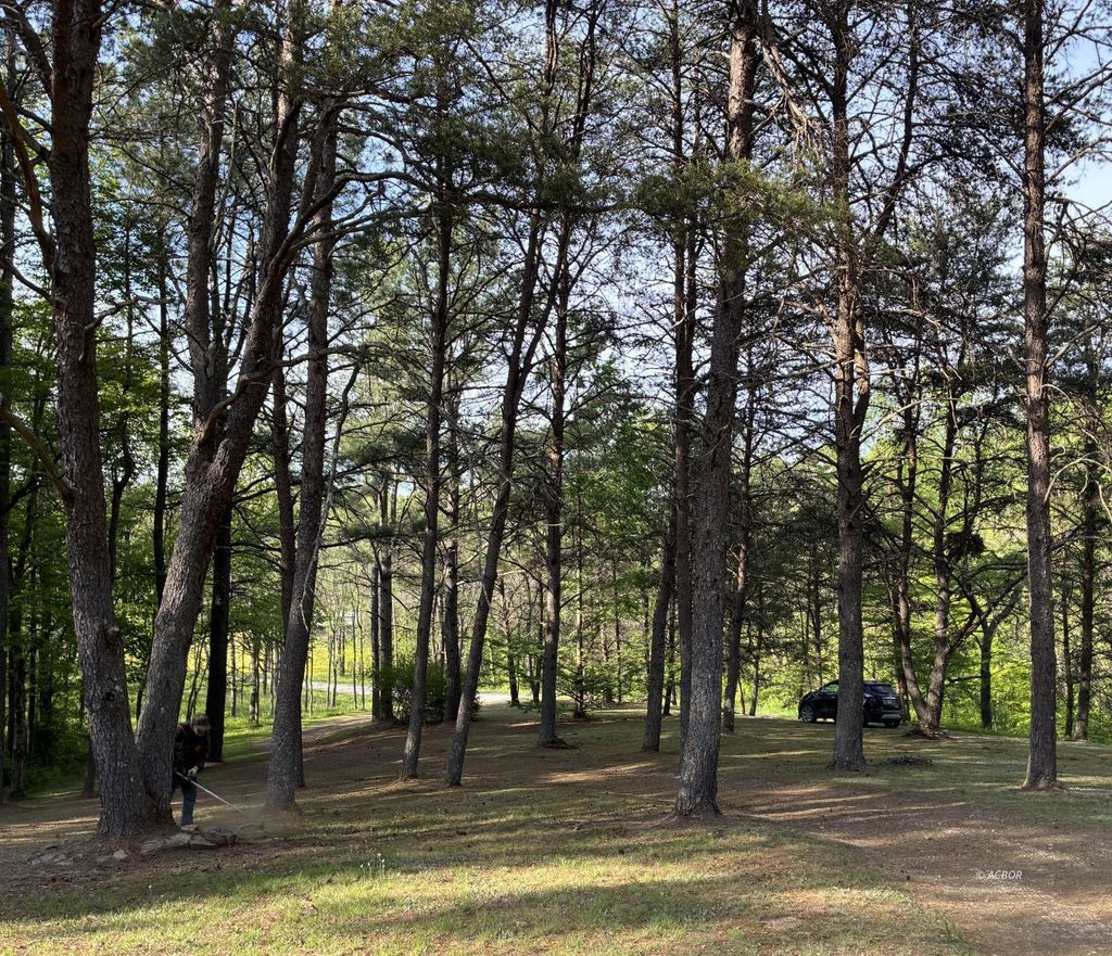 Photo of 27235 Price Strong Rd, Vinton, OH 45686 (MLS # 2434523)