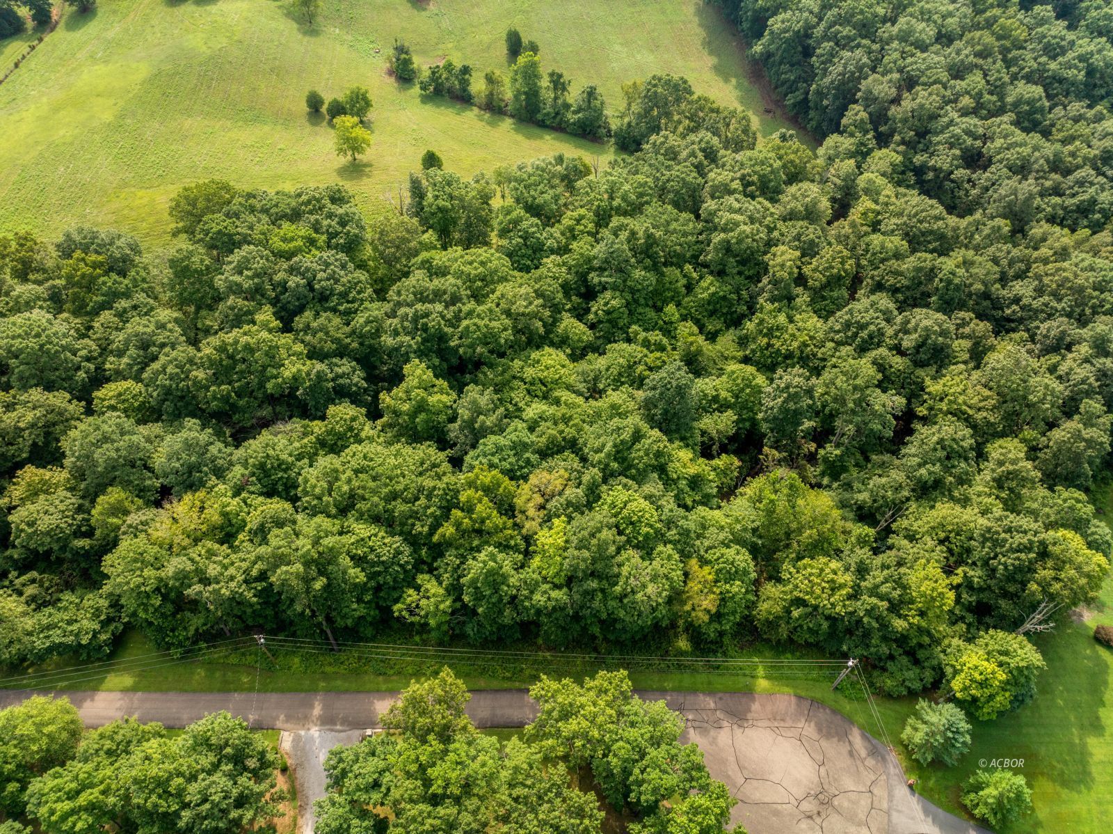 Oak Ridge Dr