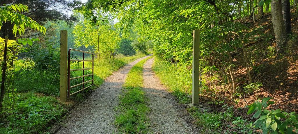 Photo of 34316 Beech Grove Rd, Rutland, OH 45775 (MLS # 2434223)