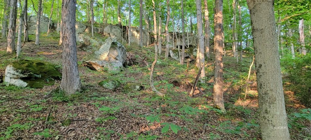 Photo of 34316 Beech Grove Rd, Rutland, OH 45775 (MLS # 2434223)