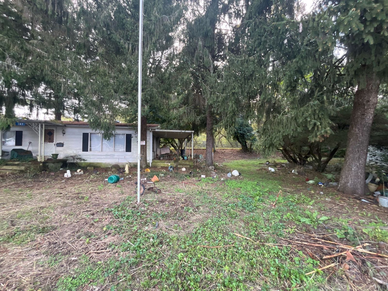 187 Watkins St