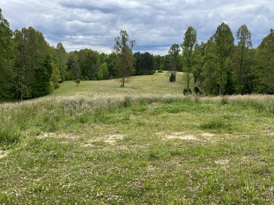 METHENEY FAIRPLAY RD, VINTON, OH 45686 - Image c869f4618dea9d831eefea77bbb432cb/1302289733