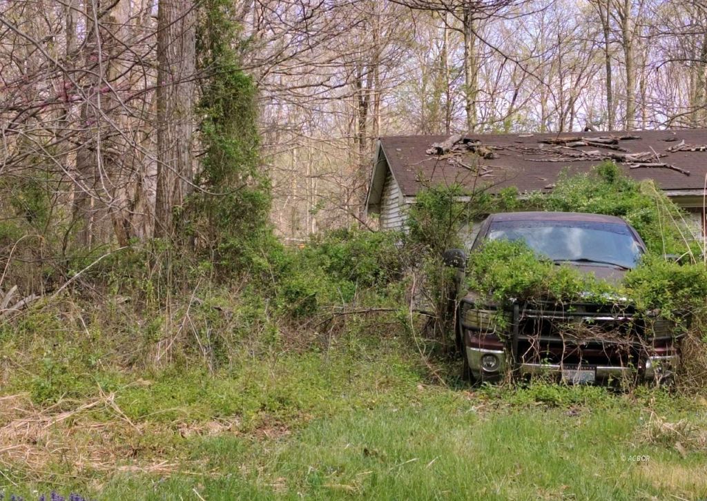 Photo of 23991 Lightner Rd, Guysville, OH 45735 (MLS # 2434759)