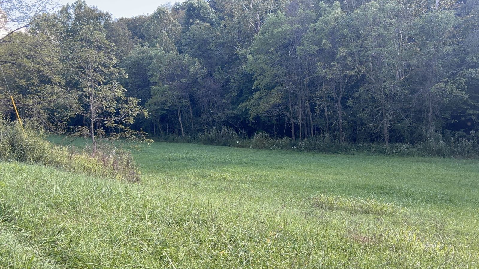 Elliotsville Rd