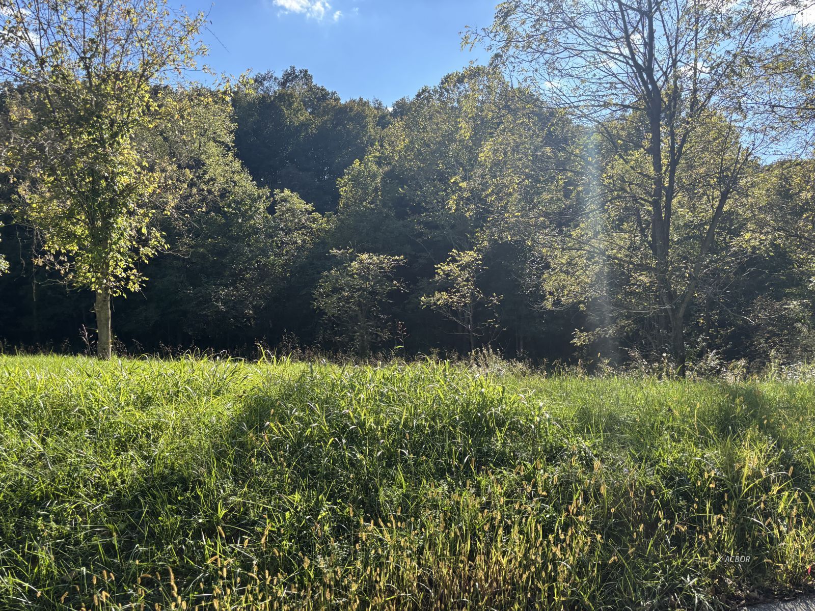 Elliotsville Rd