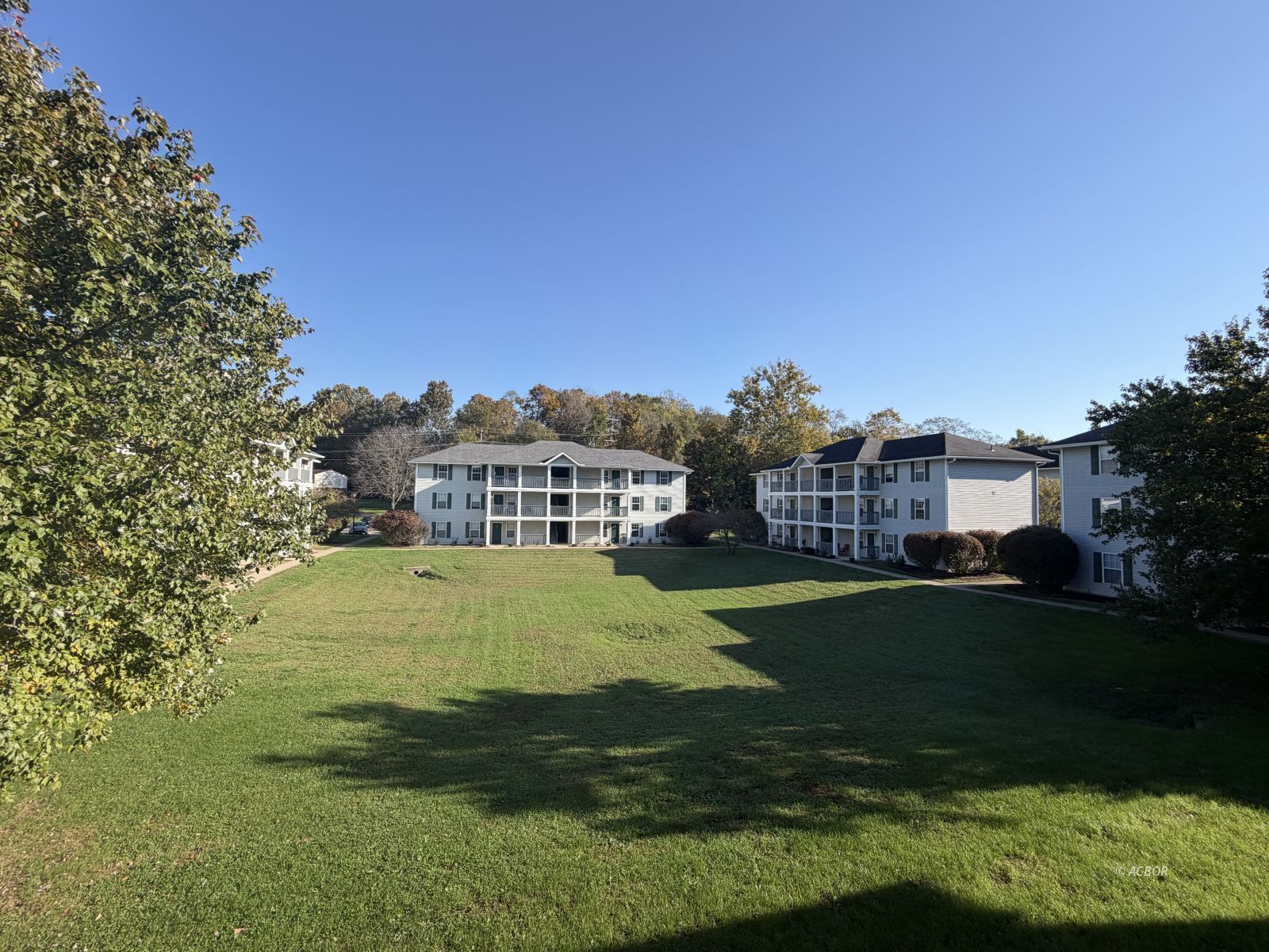 15 S Shafer St 1504
