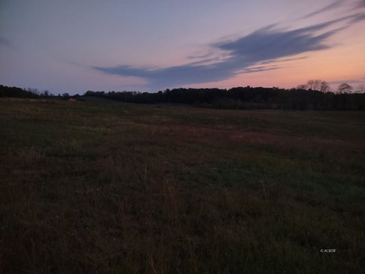 32975 SALEM SCHOOL LOT RD, LANGSVILLE, OH 45741 - Image f4e3ed64e02e2c7afd40b8e77fca5a18/3633651578