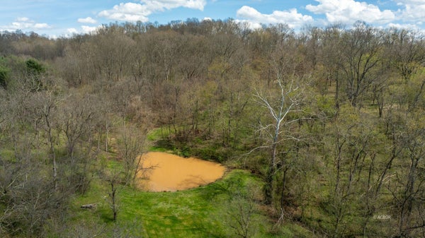1699 MCCORMICK RD, GALLIPOLIS, OH 45631 - Image f99a63c86965bbe0cbc5797758ccd849/98111864