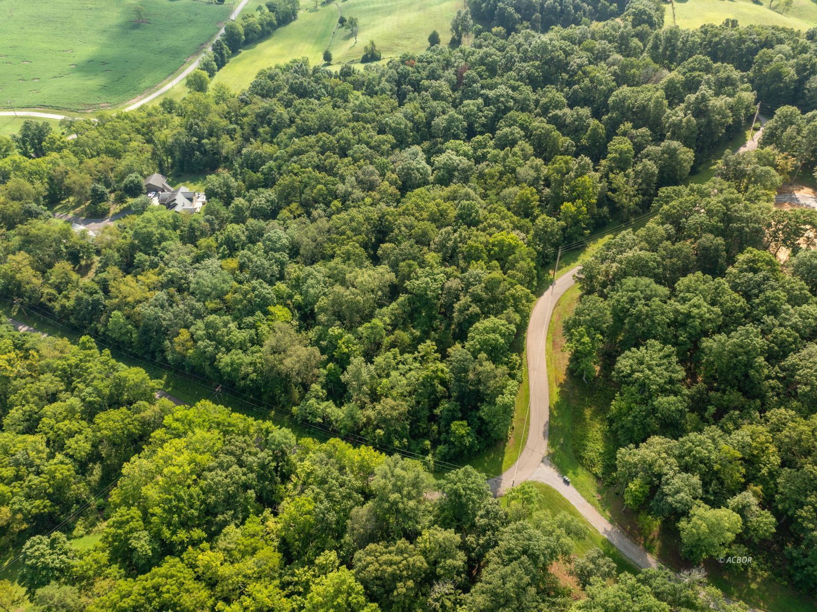 Oak Ridge Dr