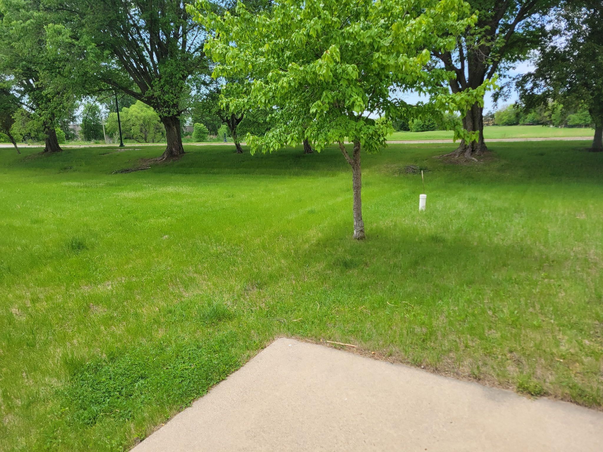 1502 Memphis Avenue 32 - Photo 4