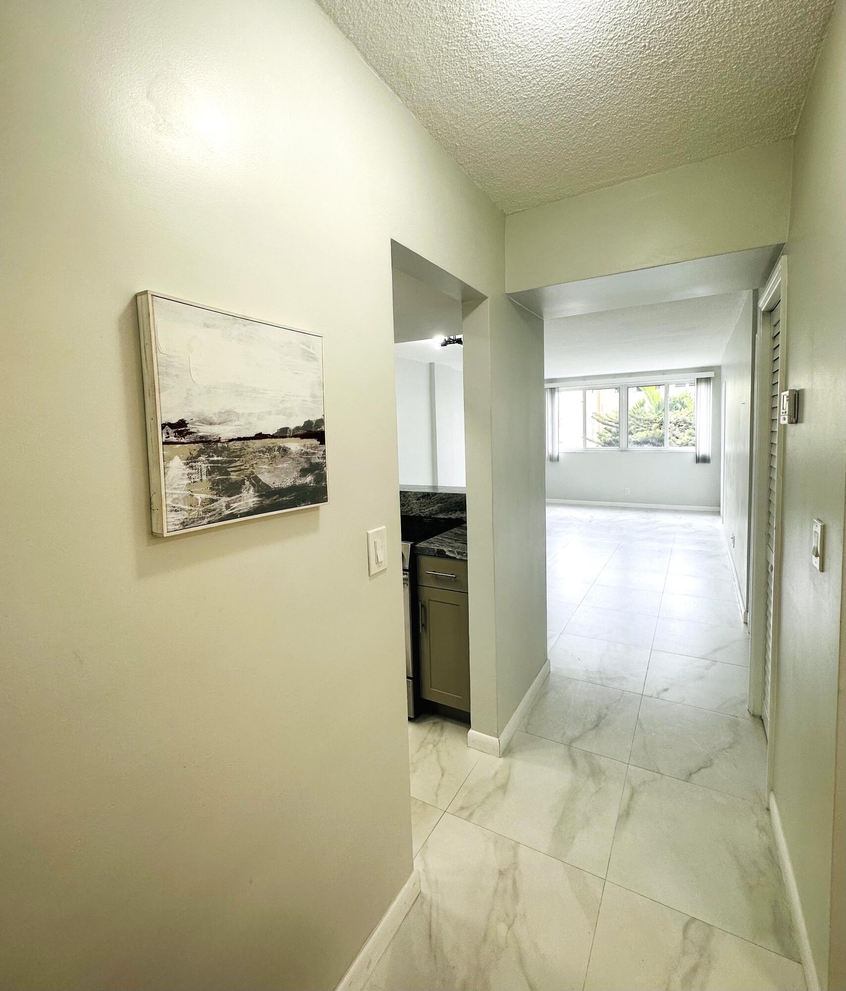 1333 E HALLANDALE BEACH Boulevard 302