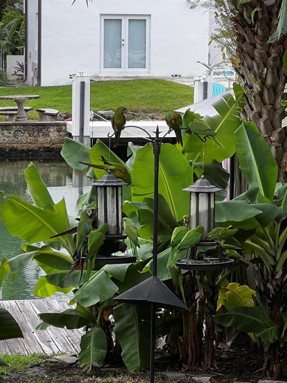 AMD PL BISCAYNE PINES - Residential