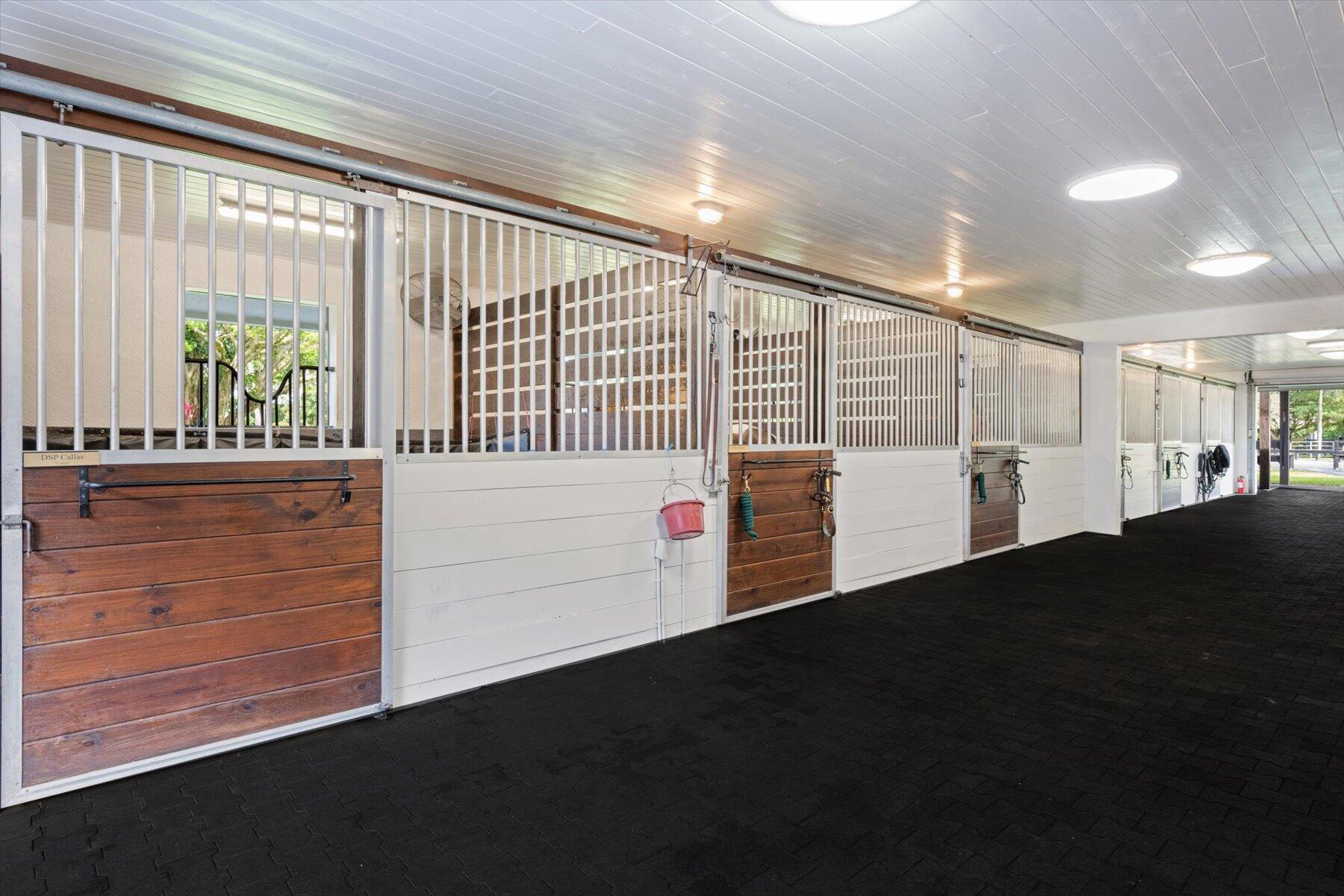 SADDLE TRAIL PARK OF WELL - Residential