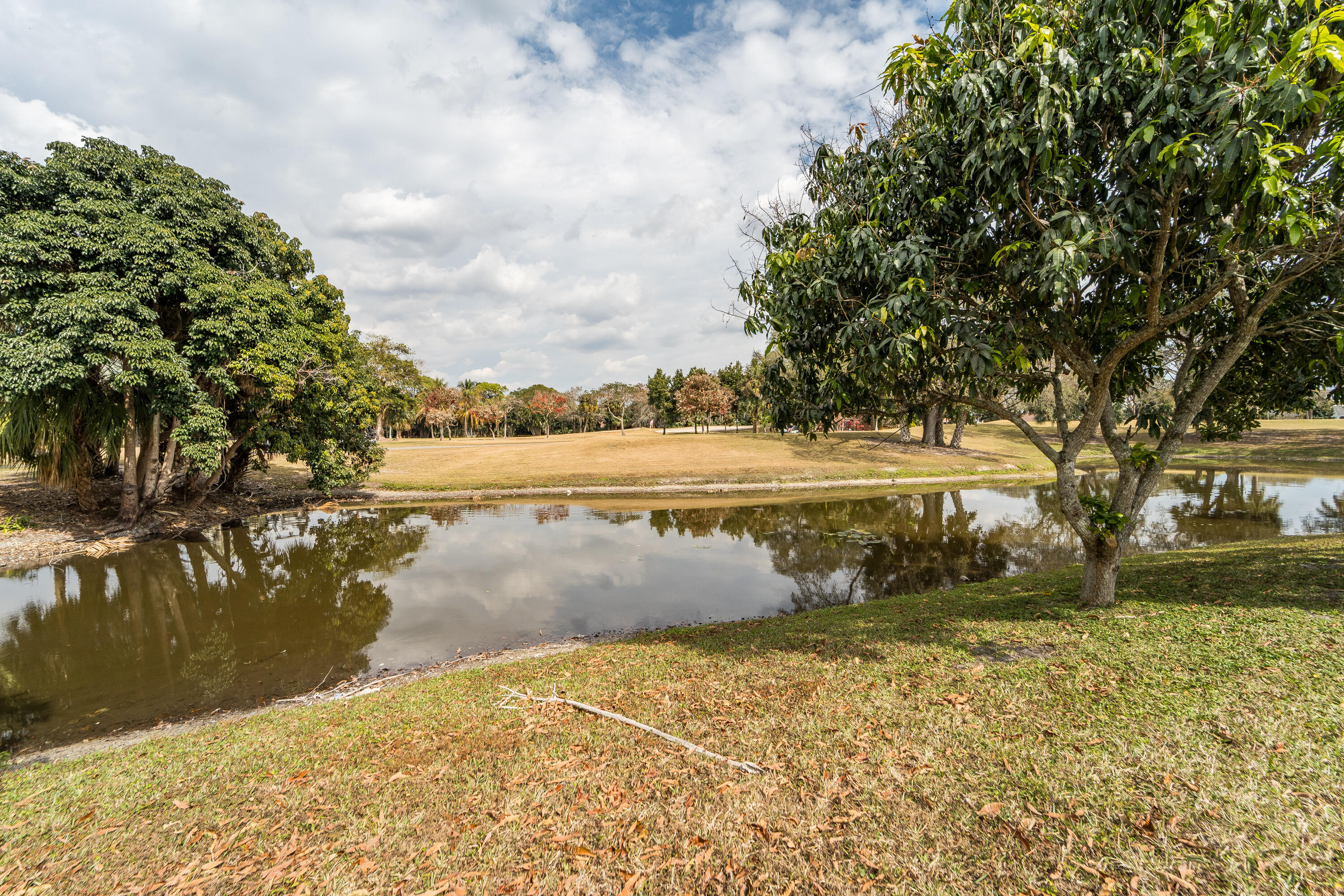 ELYSIUM AT ARBORS - Residential