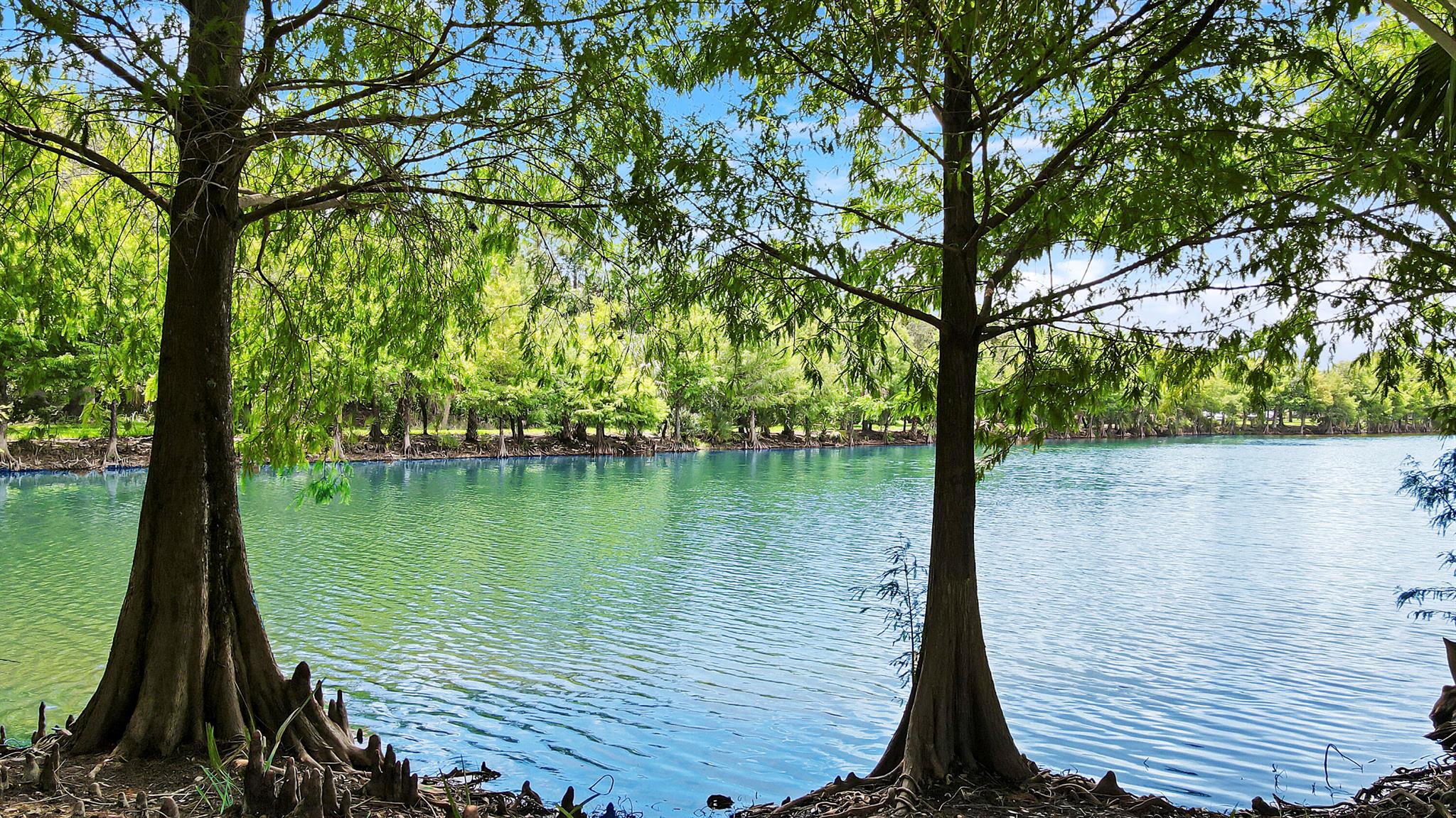 EAST LAKE VILLAGE NO 3 - Residential