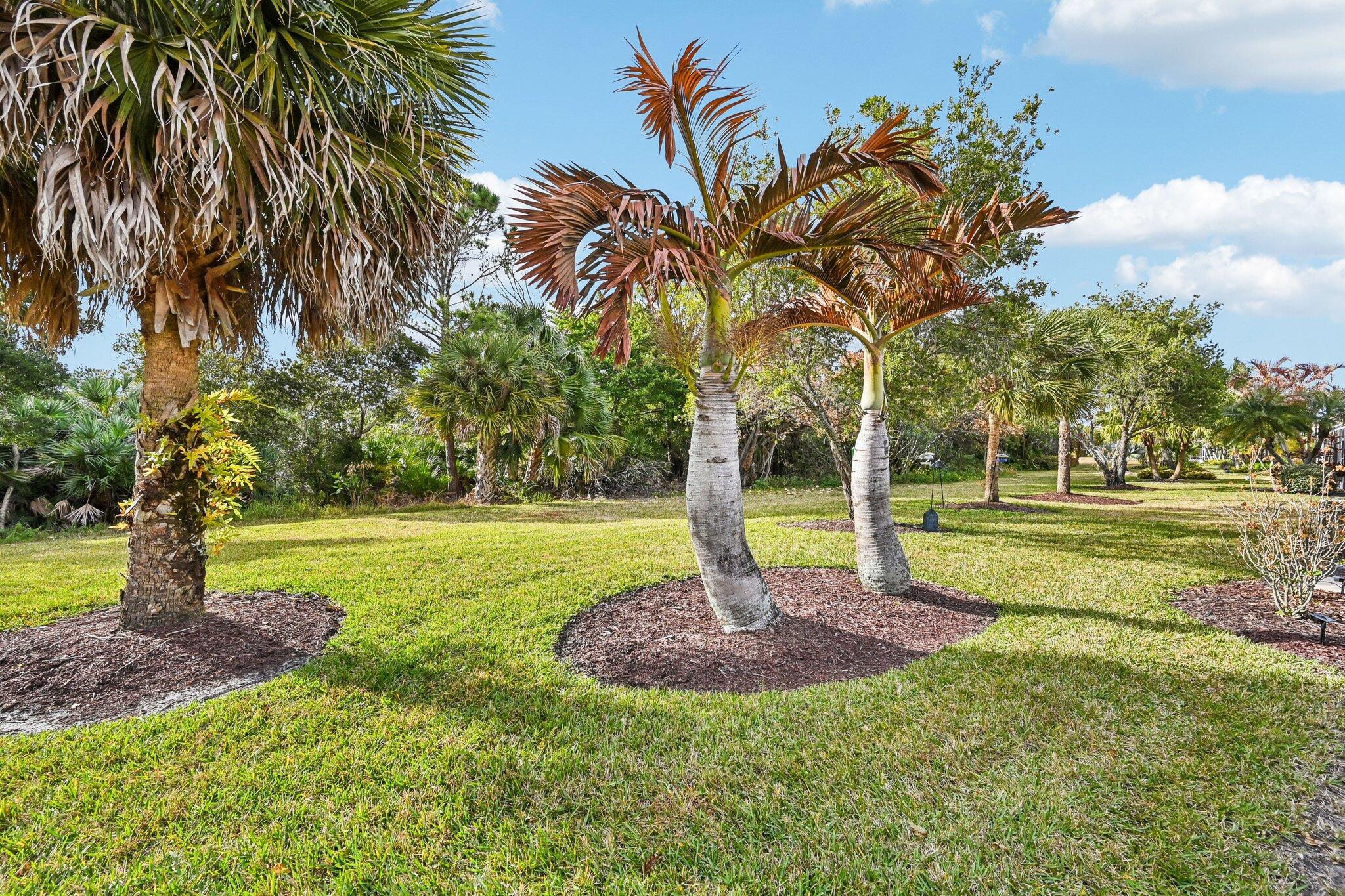 JENSEN BEACH GOLF AND COUNTRY CLUB - Residential