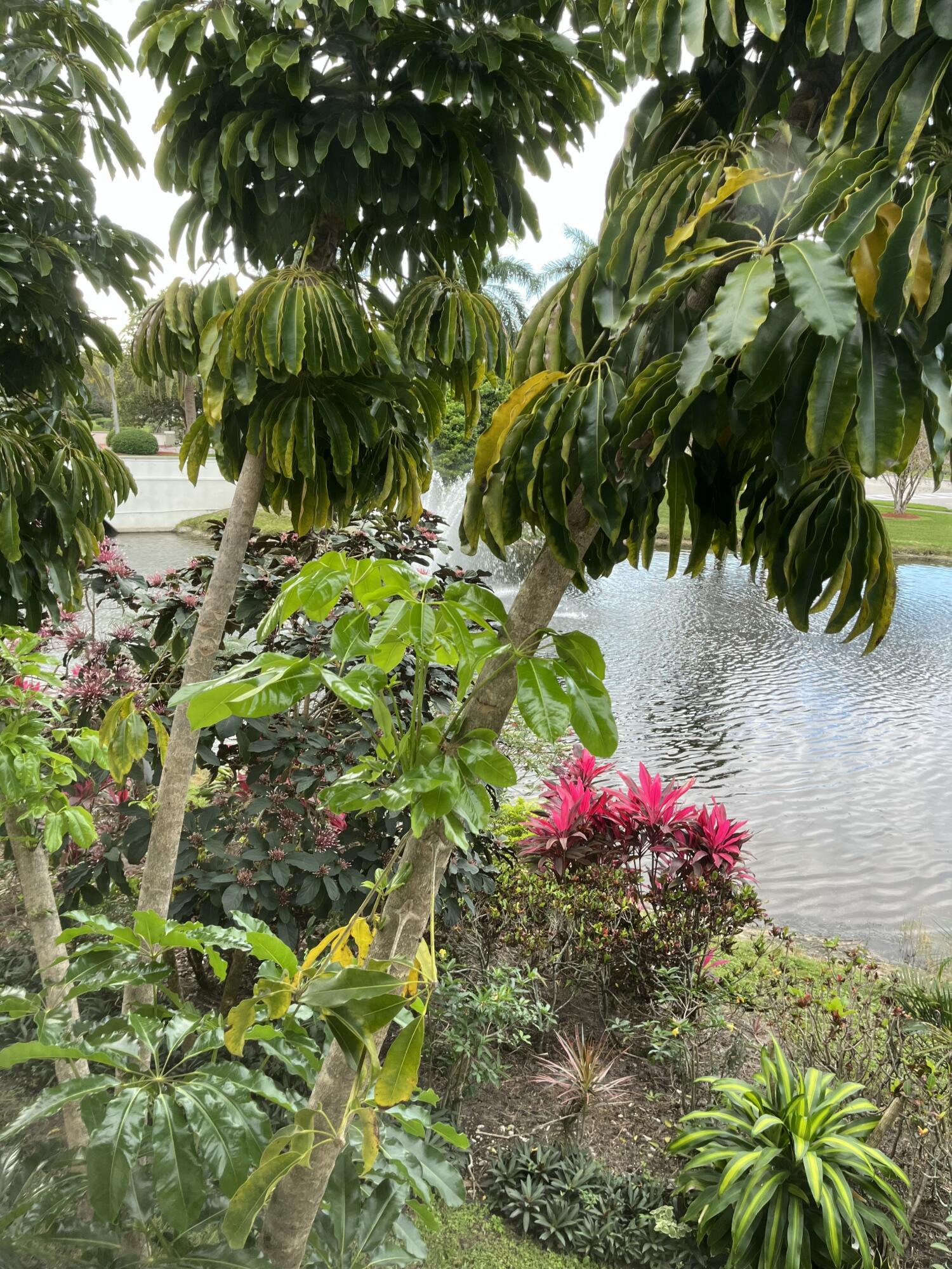 Bahama Village - Wynmoor - Residential Lease