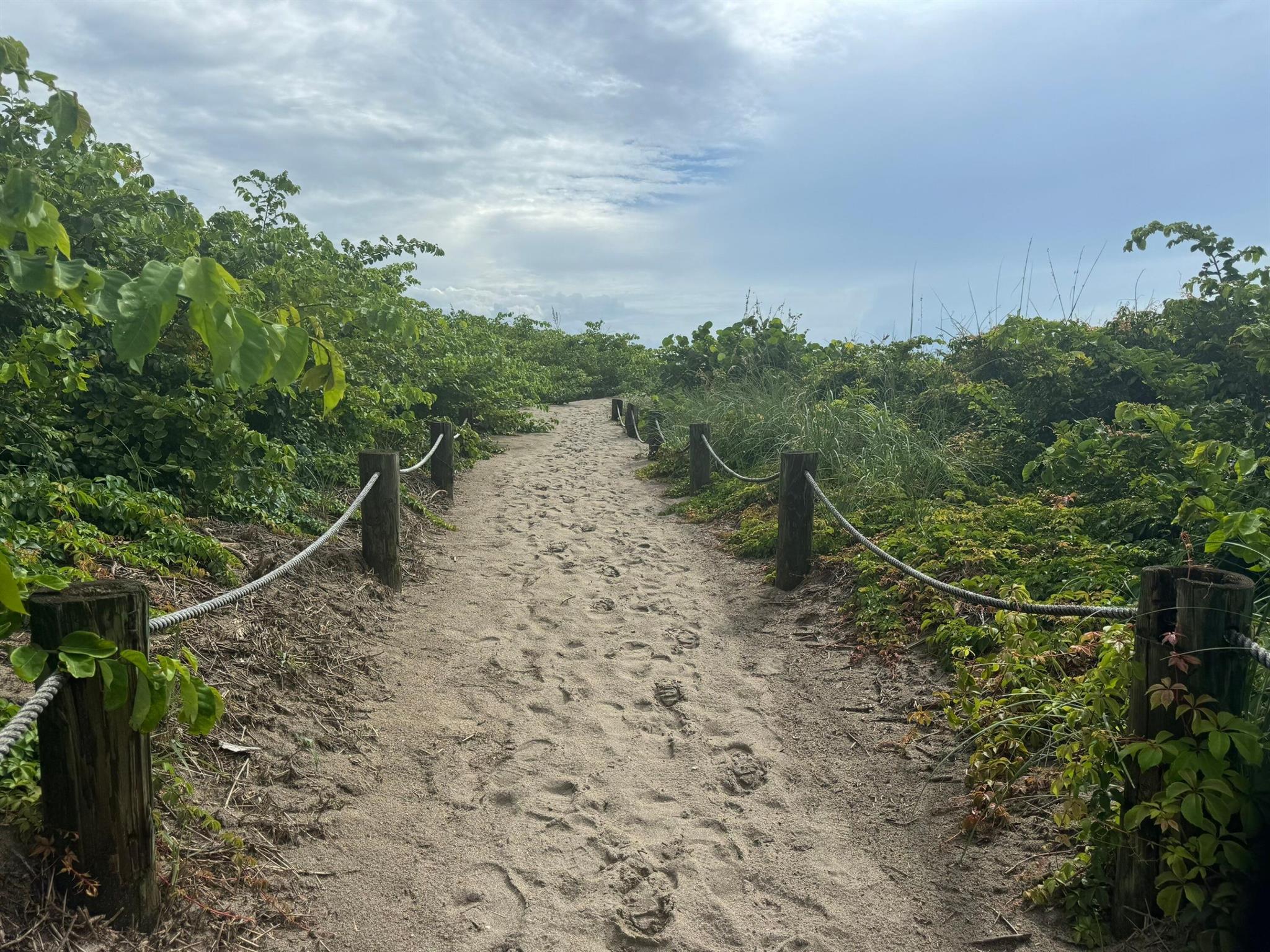 TROPICAL BEACH - Residential Lease