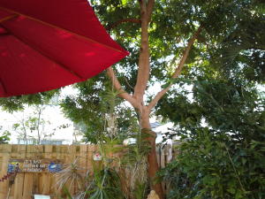 CORAL BAY - Residential