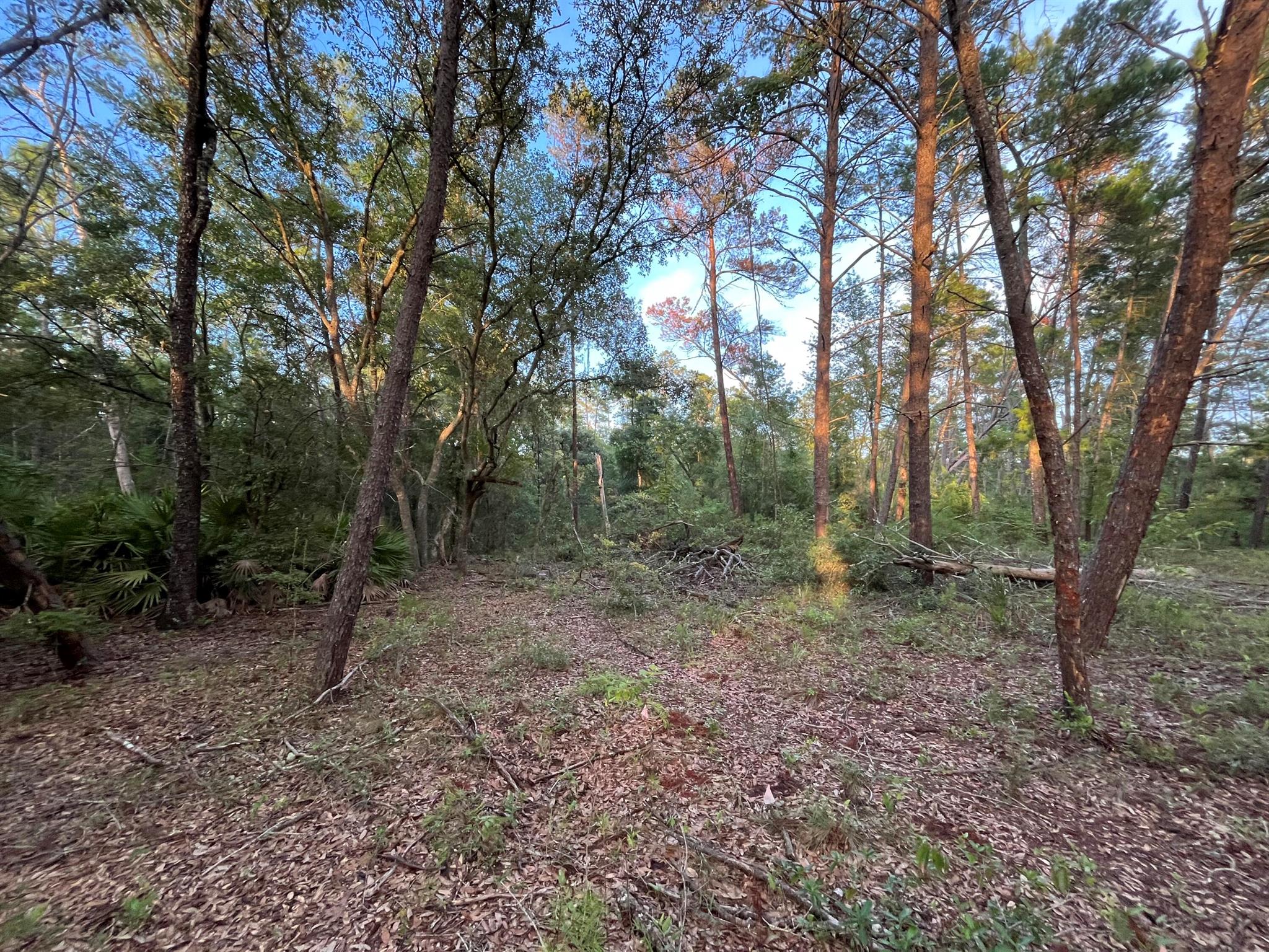 Tbd Twin Lakes Road