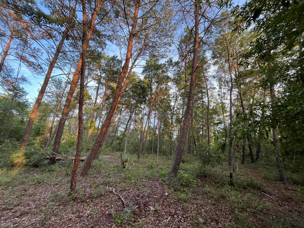 TWIN LAKE ESTATES - Land