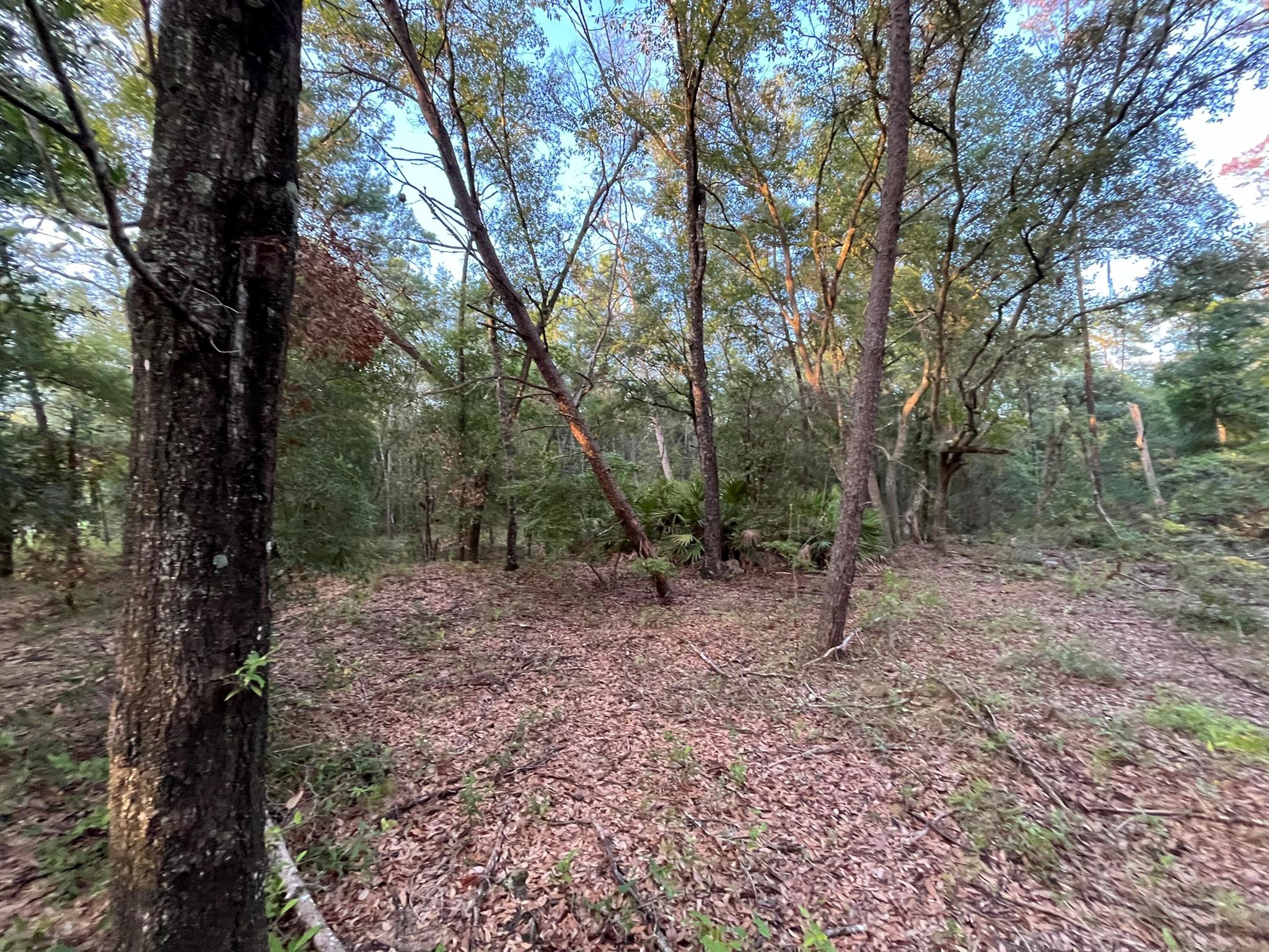 Tbd Twin Lakes Road