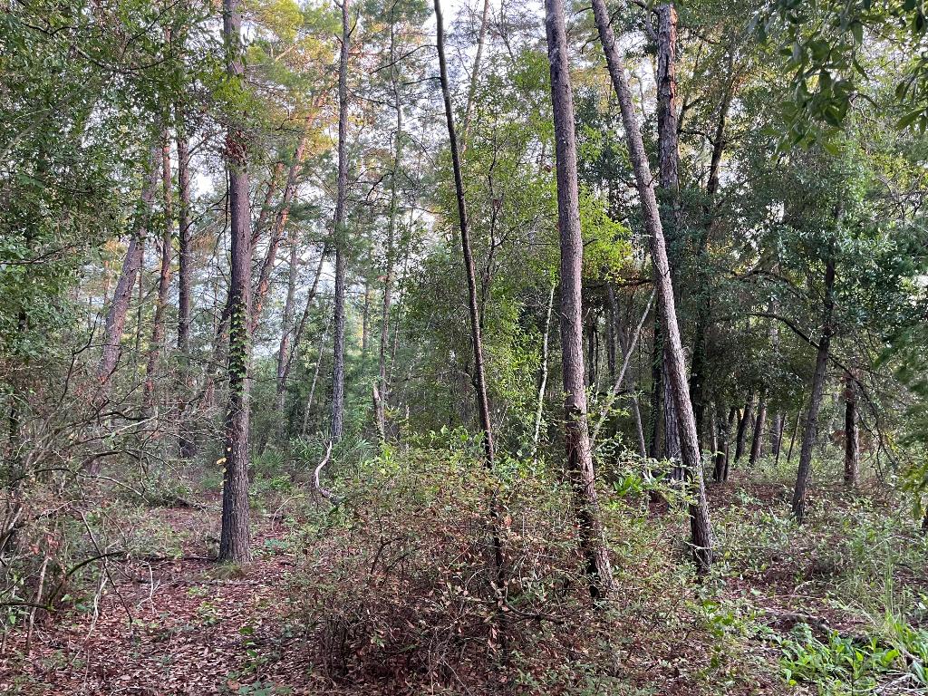 TWIN LAKE ESTATES - Land