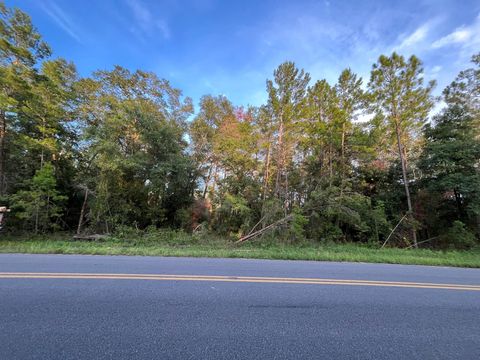 Tbd Twin Lakes Road Interlachen FL 32148