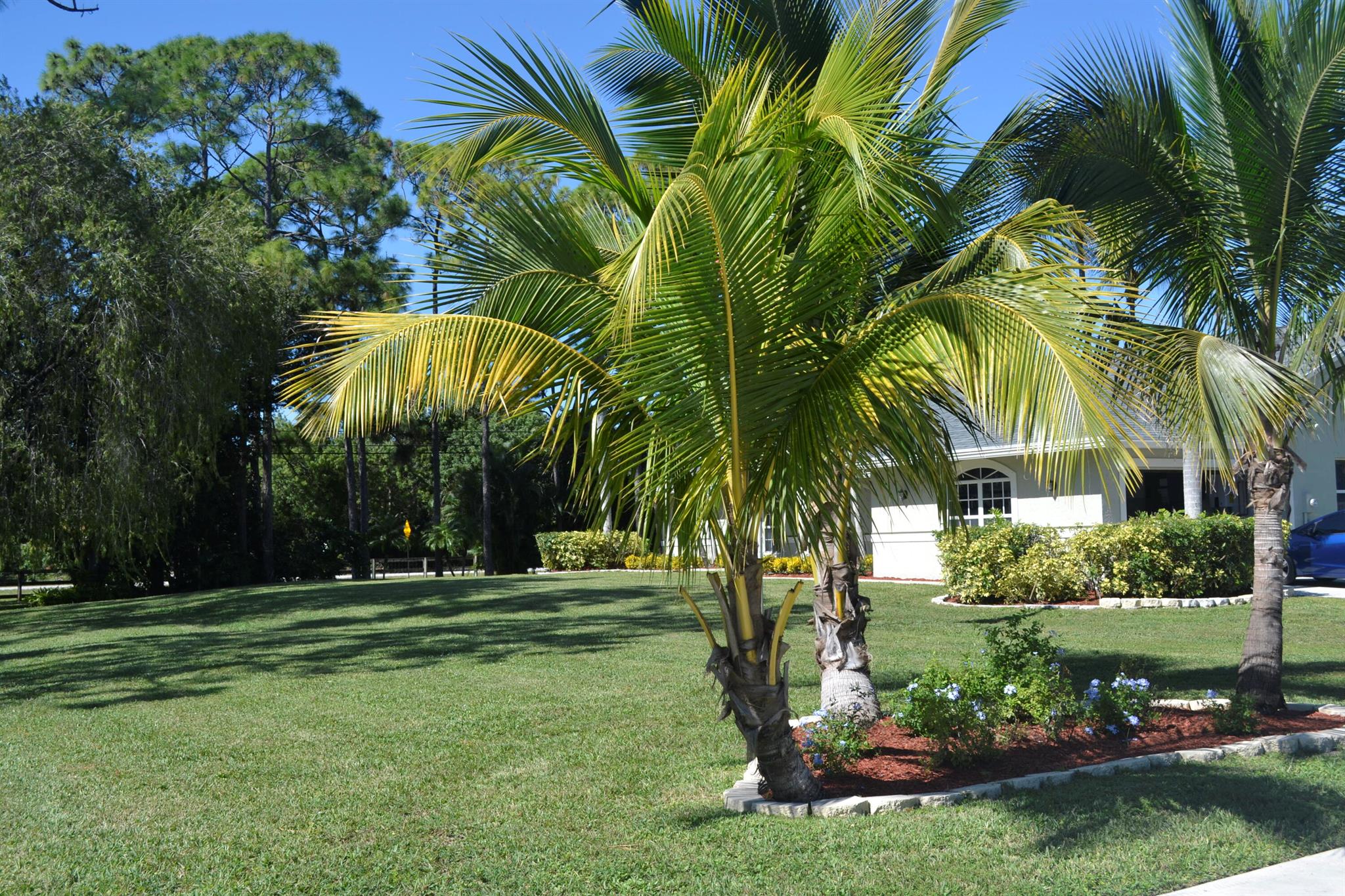 Acreage - Residential