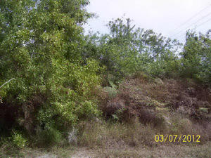 Large corner lot right outside St. Lucie West, Great Price, !