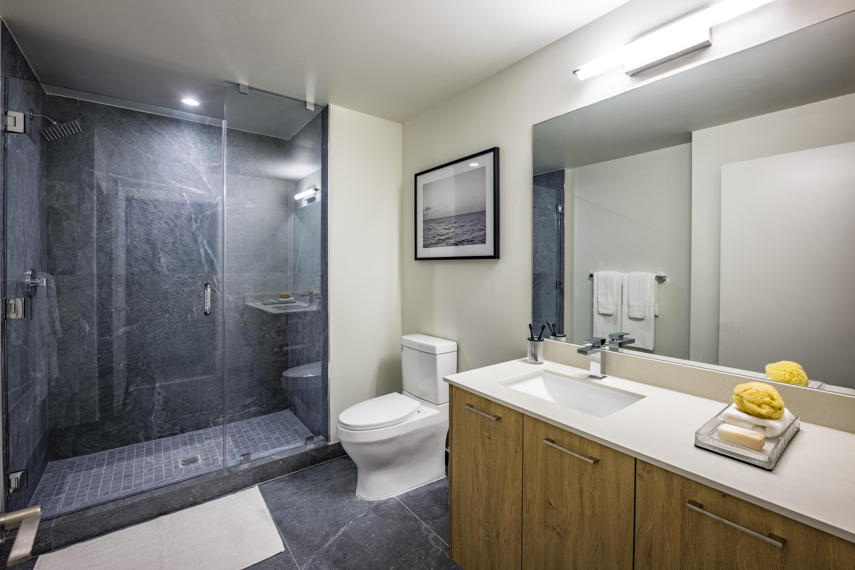 The Dorsey - Residential Lease