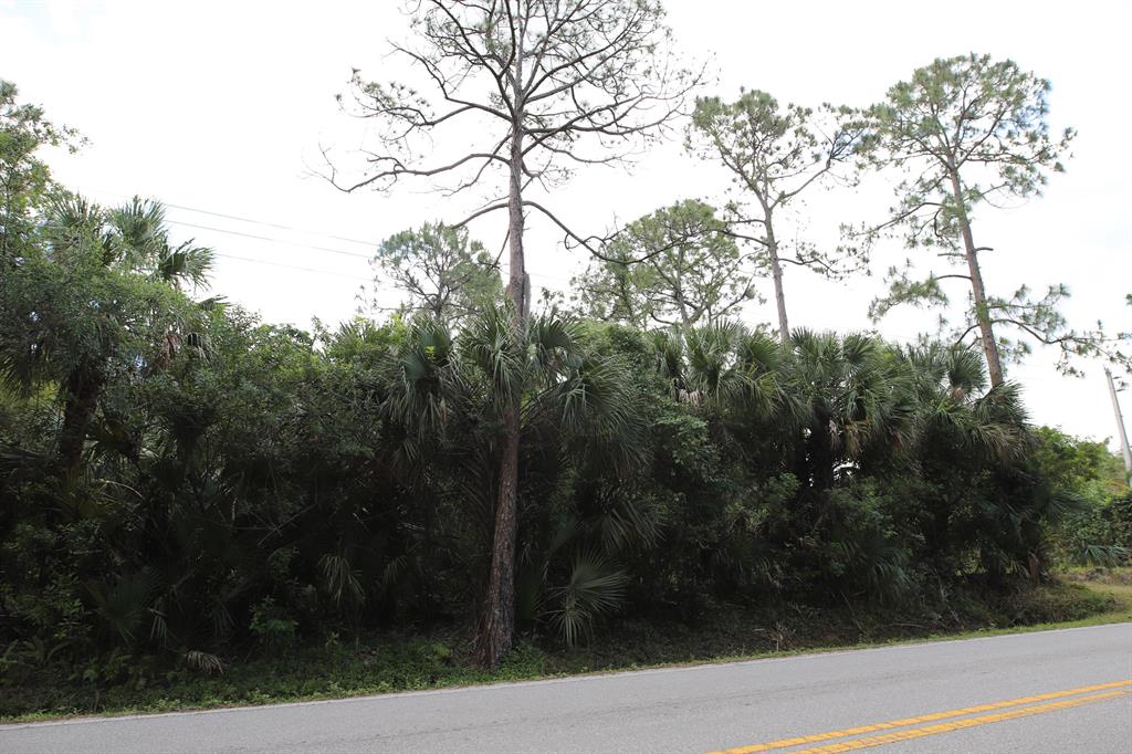 Jupiter Farms - Land