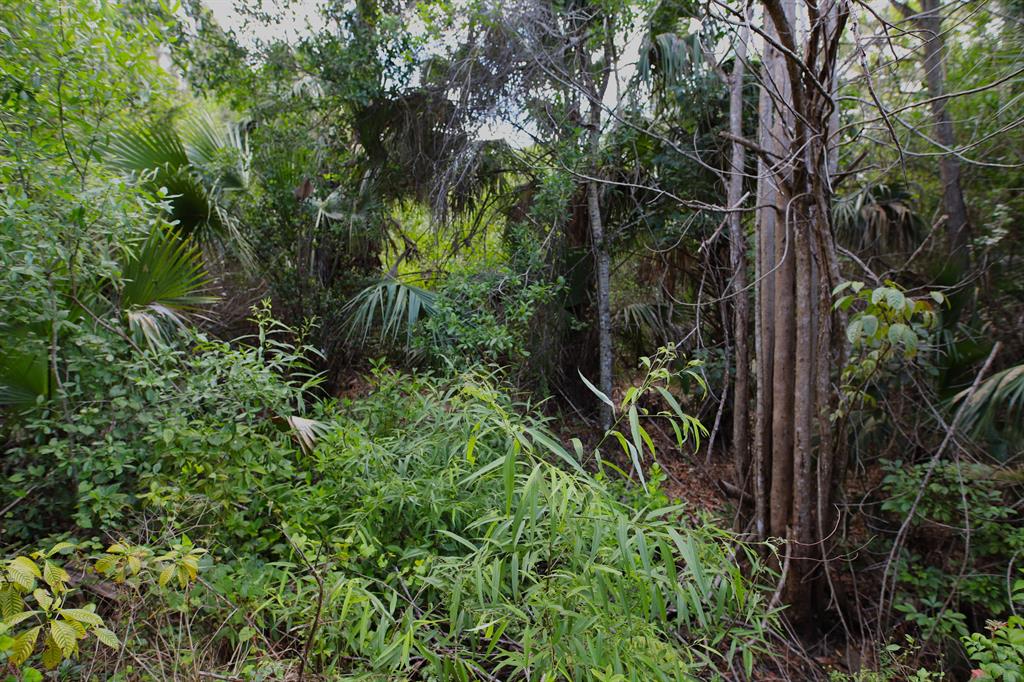 Jupiter Farms - Land