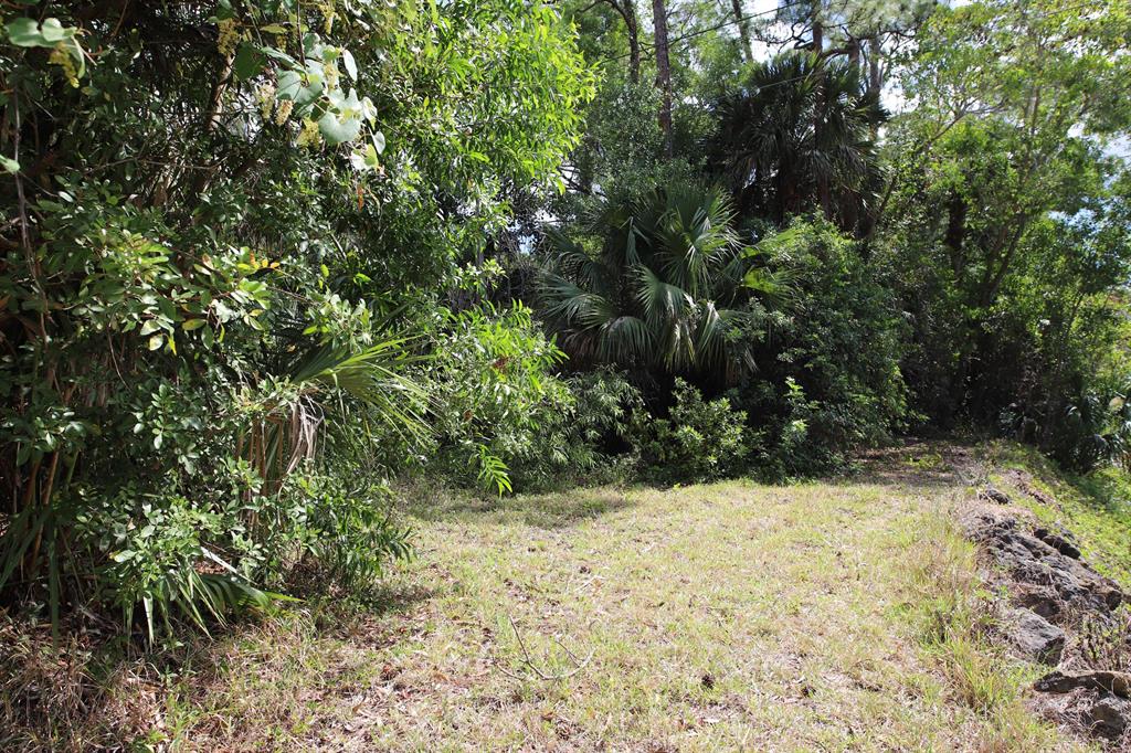 Jupiter Farms - Land