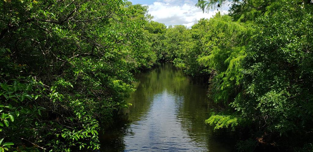 Jupiter Farms - Land