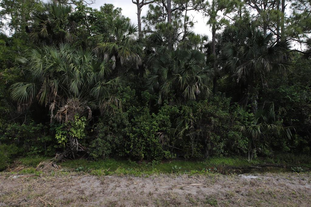 Jupiter Farms - Land