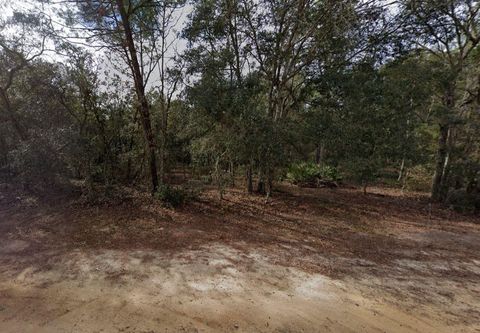 917 David Ave Other FL 32148