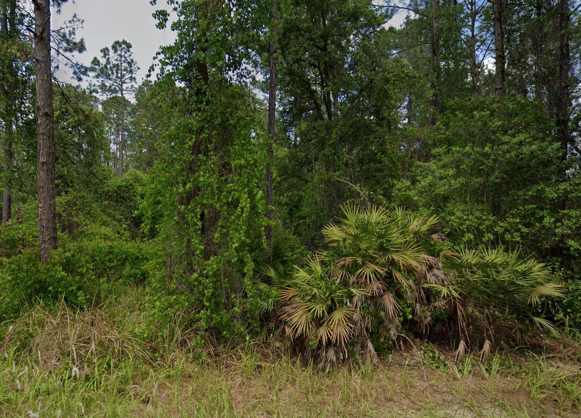 View photos, virtual tours, details... 138 Pine Tree Drive
