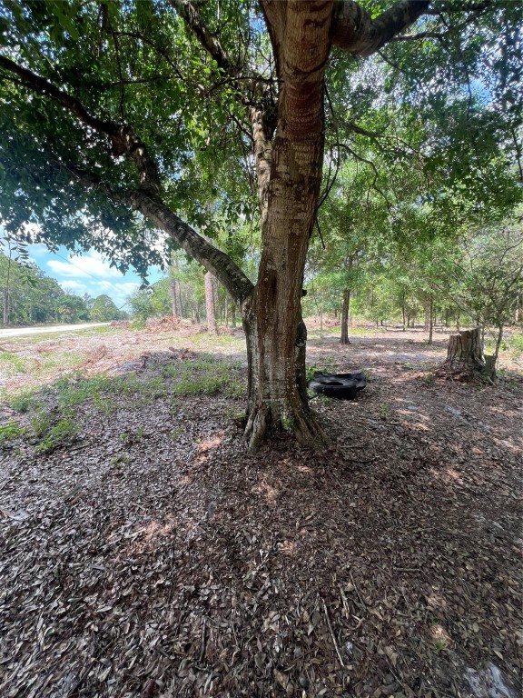 MONTURA RANCHES - Land