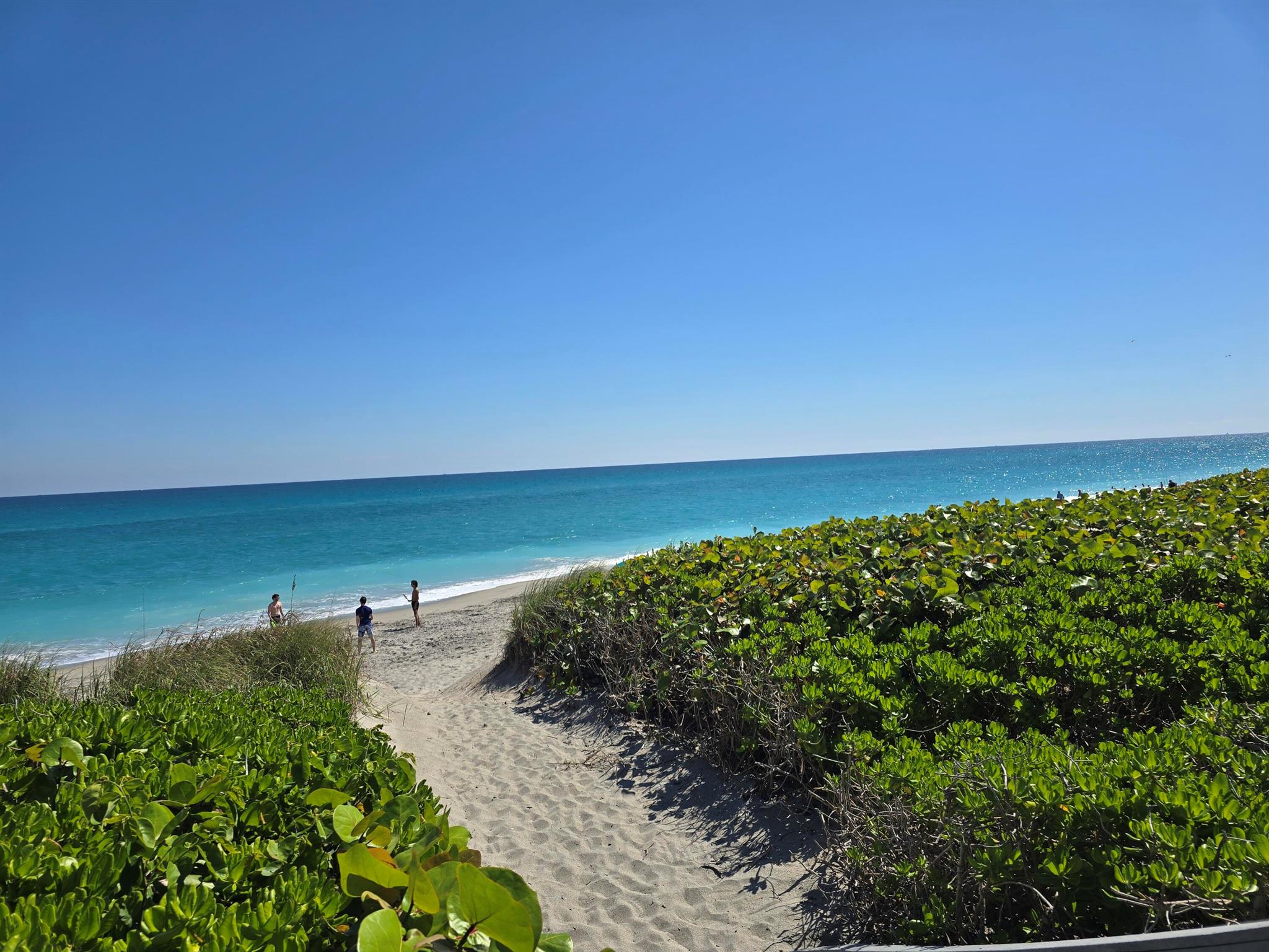 JUNO SHORES RESORT CONDO - Residential Lease